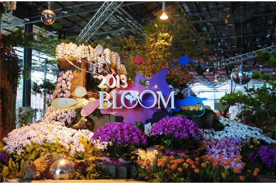 TIOS  Taiwan International Orchid Show 2012